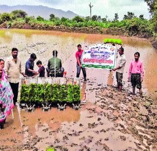 One acre of Bhatlagabada in three hours | तीन तासांत एक एकर भातलागवड