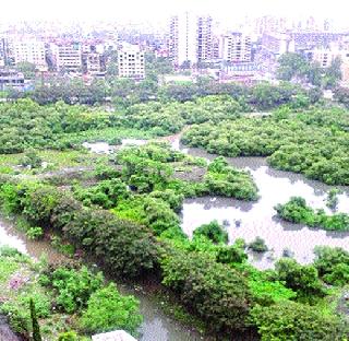 The risk of flood due to holding pond | होल्डिंग पॉण्डमुळे पुराचा धोका