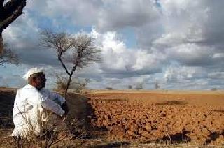 Sowing of semi-rabi crops will need to be done now! | ...आता करावी लागणार अर्ध रब्बी पिकांंची पेरणी!