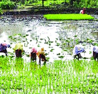 50 percent stops due to lack of rain | ५० टक्के लावण्या पावसाअभावी रखडल्या