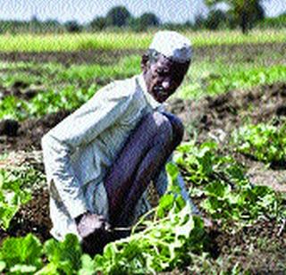 21 thousand farmers still on paper | २१ हजार शेततळे अद्याप कागदावरच