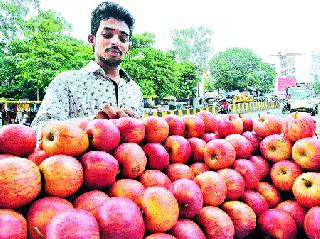 Washington, Chelsea apple cider | वॉशिंग्टन, चीलीतील सफरचंदाची सातारकर चाखतायत गोडी