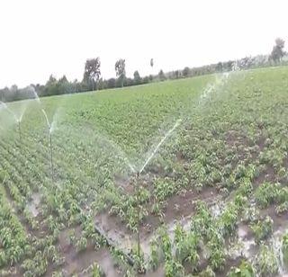 Farmers of Washim are required to take irrigation during monsoon | वाशिममध्ये पावसाळ्यातही शेतक-यांना घ्यावा लागतोय सिंचनाचा आधार