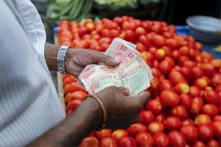 Chevga, Tomato Ears | शेवगा, टोमॅटो खातोय भाव