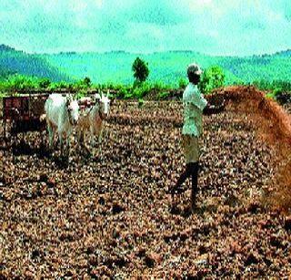 Third in Nandurbar district: Farmers worried about the sowing crisis | नंदुरबार जिल्ह्यात तिस:यांदा पेरणीच्या संकटाने शेतकरी चिंतेत