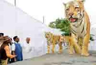 SELF PARTY SERVICE WITH T-12 WOGIN | टी-१२ वाघिणीसह सेल्फी पार्इंट सेवेत SELF PARTY SERVICE WITH T-12 WOGIN | टी-१२ वाघिणीसह सेल्फी पार्इंट सेवेत