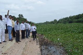 The hyacinth of the coconut will be removed by the new technique | नवीन तंत्राद्वारे काढली जाणार मोर्णेतील जलकुंभी