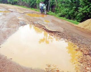 Pond on the road | रस्त्यावर तळे