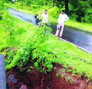 Poladpur-Mahabaleshwar highway is dangerous | पोलादपूर-महाबळेश्वर राज्यमार्ग धोकादायक