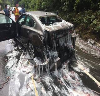 Bizarre accidents on the US Highway | अमेरिकेच्या महामार्गावर झाला विचित्र अपघात