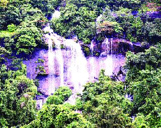 Conservation of Kanewadi waterfalls | कणेवाडीचा धबधबा दुर्लक्षित