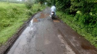 Potholes in ... road-out | खड्डे इन... रस्ता आऊट