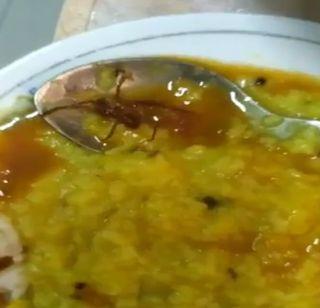 The spider was found in the canteen dinner of Parliament | संसदेतील कॅन्टीनच्या जेवणात आढळला कोळी