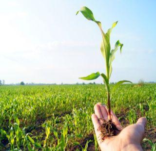 Career created in "Agriculture" learners who learned "commerce" | "कॉमर्स" शिकलेल्या तरुणानं "अ‍ॅग्रीकल्चर"मध्ये घडवलं करिअर