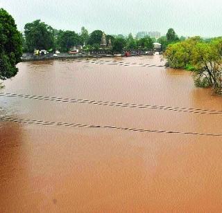 Gadchiroli overcrowded with Konkan | कोकणासह गडचिरोलीत अतिवृष्टी