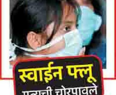 Preventive measures to prevent the swine flu | ‘स्वाईन फ्लू’च्या अटकावासाठी प्रतिबंधात्मक उपाययोजना