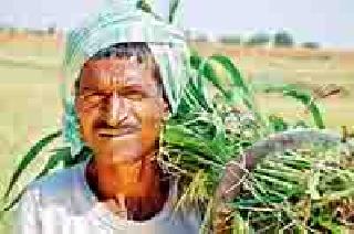 Only 10 days for crop insurance | पीक विम्यासाठी फक्त १० दिवस