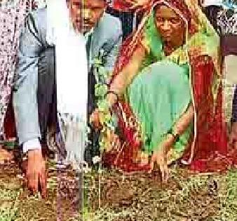 After the wedding in honor, 'century' tree will be planted | आजंतीत लग्नानंतर ‘शतकी’ वृक्षलागवड