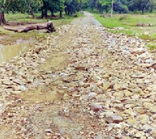 The road completely crumbled due to flooding | पुरामुळे रस्ता पूर्णत: उखडला