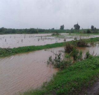 The seeds sown in the full water of Borod area have been carried | बोरद परिसरातील पुराच्या पाण्यात पेरलेले बियाणे गेले वाहून