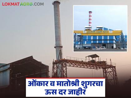 Sugarcane prices announced for Omkar and Matoshree Sugar factories in Solapur; How much will they pay for the first harvest? | सोलापुरातील ओंकार आणि मातोश्री शुगर या कारखान्यांचे ऊस दर जाहीर; पहिली उचल किती देणार? Sugarcane prices announced for Omkar and Matoshree Sugar factories in Solapur; How much will they pay for the first harvest? | सोलापुरातील ओंकार आणि मातोश्री शुगर या कारखान्यांचे ऊस दर जाहीर; पहिली उचल किती देणार?