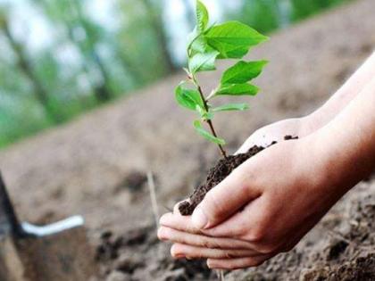 Akola district will implement 'One Student - One Tree' | अकोला जिल्ह्यात ‘एक विद्यार्थी-एक वृक्ष’ उपक्रम राबविणार!