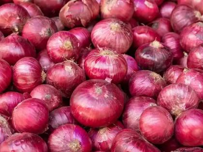 Onion exports fell by 67,000 MT in July; Loose grip on international markets | जुलैमध्ये ६७,००० मेट्रिक टन कांदा निर्यात घटली; आंतरराष्ट्रीय बाजारपेठेतील पकड सैल