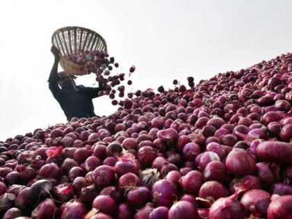 Dhananjay Munde will implement the onion powdering project through the farmer producer company | कांद्याची भुकटी करण्याचा प्रकल्प शेतकरी उत्पादक कंपनीमार्फत राबवणार - धनंजय मुंडे