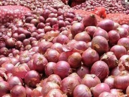 Stored onions are rotting; prices are also falling, farmers are worried, price is Rs 12 per kg | Onion Rate: साठवलेला कांदा सडतोय; दरही कोसळतोय शेतकरी हवालदिल, प्रतिकिलो १२ रुपये भाव