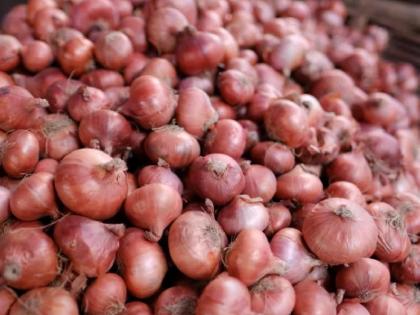 Bangladesh's import ban hits onion farmers; Time to sell at lower prices due to rain | बांगलादेशच्या आयातबंदीचा कांदा उत्पादक शेतकऱ्यांना फटका; पावसामुळे कमी भावांत विकण्याची वेळ 
