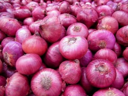 Good news for farmers! Extension of time for submission of applications for onion subsidy | शेतकऱ्यांसाठी खुशखबर! कांदा अनुदानासाठी अर्ज दाखल करण्यास मुदतवाढ