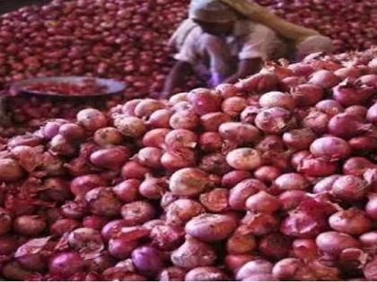 Onion is expensive in Nagpur! Crop damaged by rain | नागपुरात कांद्याची फोडणी महाग! पावसामुळे पीक खराब