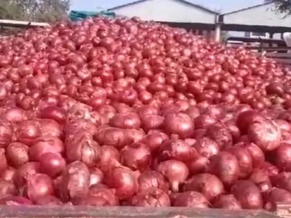 permission given to onion export is just a waste Accusation of exporters, traders along with manufacturers | कांदा निर्यातीला दिलेली परवानगी निव्वळ धूळफेक! उत्पादकांसह निर्यातदार, व्यापाऱ्यांचा आरोप