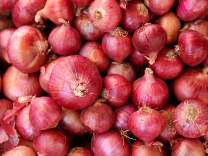 Onion export ban back, big relief for farmers | कांदा निर्यातबंदी मागे; शेतकऱ्यांना मोठा दिलासा