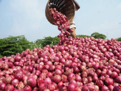 pune news onion storage dreams shattered; wait for price hike over, discontent among farmers | कांदा साठवणुकीचे स्वप्न भंगले; भाववाढीची प्रतीक्षा संपली, शेतकऱ्यांमध्ये नाराजीचा सूर pune news onion storage dreams shattered; wait for price hike over, discontent among farmers | कांदा साठवणुकीचे स्वप्न भंगले; भाववाढीची प्रतीक्षा संपली, शेतकऱ्यांमध्ये नाराजीचा सूर