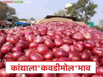 latest news Kanda Market: 'How can we live if there is such a price?' Farmer's outcry in onion market | Kanda Market :'असा भाव असेल तर जगायचं कसं?' कांदा मार्केटमध्ये शेतकऱ्याचा आक्रोश latest news Kanda Market: 'How can we live if there is such a price?' Farmer's outcry in onion market | Kanda Market :'असा भाव असेल तर जगायचं कसं?' कांदा मार्केटमध्ये शेतकऱ्याचा आक्रोश