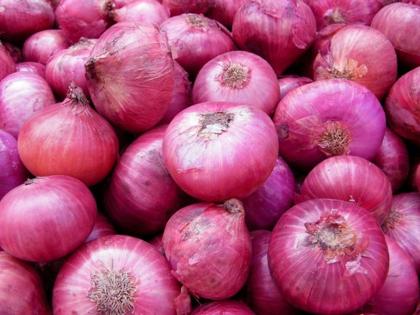 onions are costlier than meat in this country amid inflation available for rs 1200 per kilogram | भारतात कवडी मोलाची किंमत असलेल्या कांद्याला 'या' देशात मिळतोय 1200 रुपये किलोचा भाव