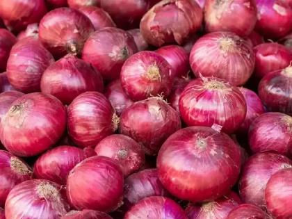 Fear of rotting 4 thousand tons of onion; 200 containers 'jam' near the port | वेगळीच व्यथा! ४ हजार टन कांदा सडण्याची भीती; २०० कंटेनर बंदराजवळच ‘जाम’