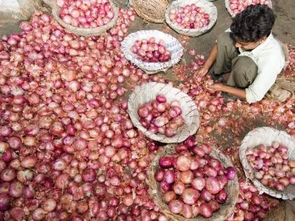 agralekh Onion prices are increasing | पुन्हा कांदा कोंडी! डोळ्यात पाणी आणणे हा कांद्याचा गुणधर्म