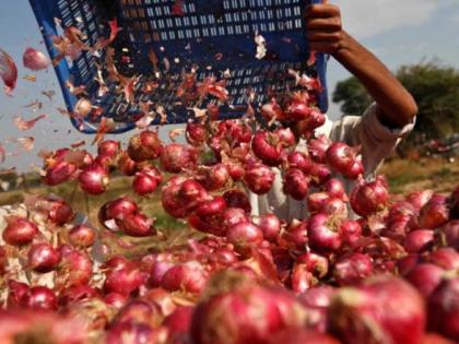 Twenty-four trucks soaked by rain, the onion decayed, and fell without sales | पावसाने भिजलेला वीस ट्रक कांदा सडला, विक्रीविना पडला