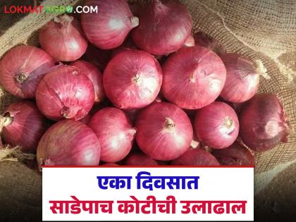 504 trucks of onions arrive at Solapur Market Committee; Read what was the average price received? | सोलापूर बाजार समितीत ५०४ ट्रक कांद्याची आवक; वाचा सर्वसाधारण काय मिळाला दर? 504 trucks of onions arrive at Solapur Market Committee; Read what was the average price received? | सोलापूर बाजार समितीत ५०४ ट्रक कांद्याची आवक; वाचा सर्वसाधारण काय मिळाला दर?