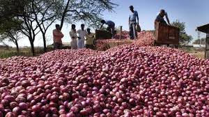 Onion subsidy will be available from February! | फेब्रुवारीपासून कांदा अनुदान मिळणार!