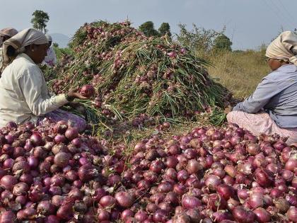 Farmers should grow onions or not, tell them once! | शेतकऱ्यांनी कांदा पिकवायचा की नाही, ते तरी एकदा सांगा!