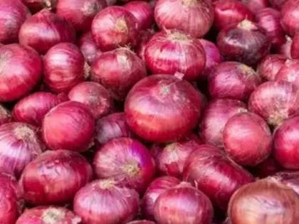 Onion seeds of the reputed company are found to be defective; Grievance Redressal Committee Report | नामांकित कंपनीचे कांदा बियाणे आढळले सदोष; तक्रार निवारण समितीचा अहवाल