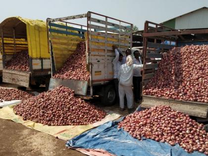 Receive first-stage canada grant in Jalgaon district | जळगाव जिल्ह्यात पहिल्या टप्प्याचे कांदा अनुदान प्राप्त