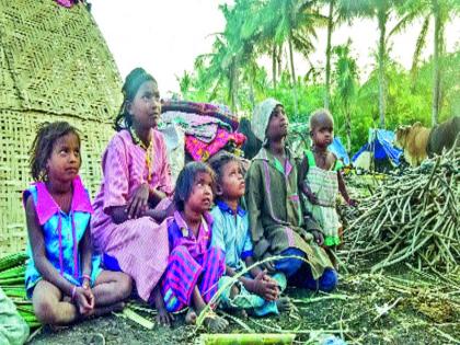 Children's Day Special: The Golden Flower Conflicts, How Can I Get A Children's Day? | बालदिन विशेष : कोवळ्या फुलांचा भुकेशी संघर्ष, कसला आलाय बालदिन