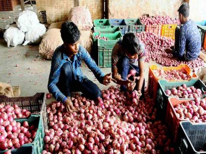 A 17-rupee kg onion from Nashik becomes 50 rupees by the time it reaches Mumbai | नाशिकचा १७ रुपये किलोचा कांदा मुंबईत पोहोचेपर्यंत होतो ५० रुपयांचा