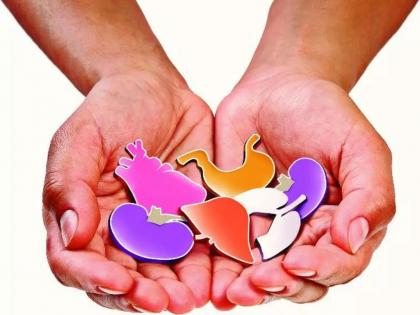 Amravati youth donates organs in Nagpur; Give life to three | अमरावतीच्या तरुणाचे नागपुरात अवयवदान; तिघांना जीवनदान