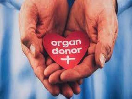 Organ donation movement is gaining strength in Kolhapur | मृत्यूनंतरही त्यांचे हृदय धडधडते!, कोल्हापुरात अवयवदान चळवळीला मिळतंय बळ