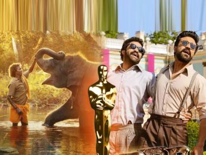 what do oscar winners get 1 crore special goody bag for non winners india dominates the oscar ceremony | ऑस्कर विजेत्यांना काय मिळते? न जिंकणाऱ्यांनाही १ कोटीची खास ‘गुडी बॅग’; भारताचा दबदबा